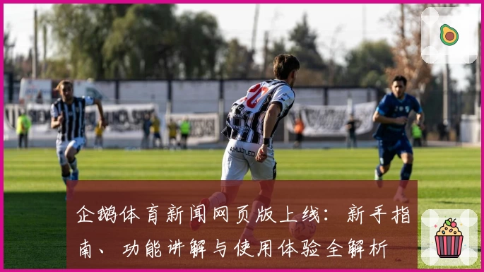 企鹅体育新闻网页版上线：新手指南、功能讲解与使用体验全解析