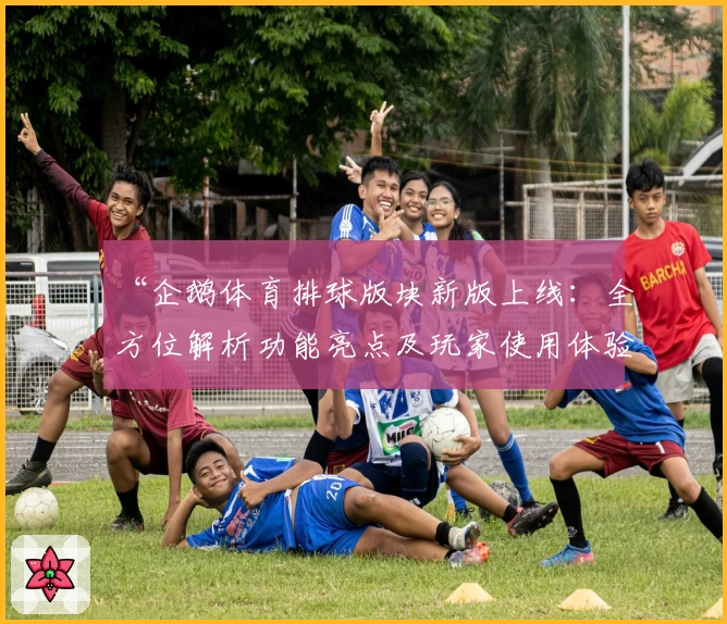 “企鹅体育排球版块新版上线：全方位解析功能亮点及玩家使用体验”