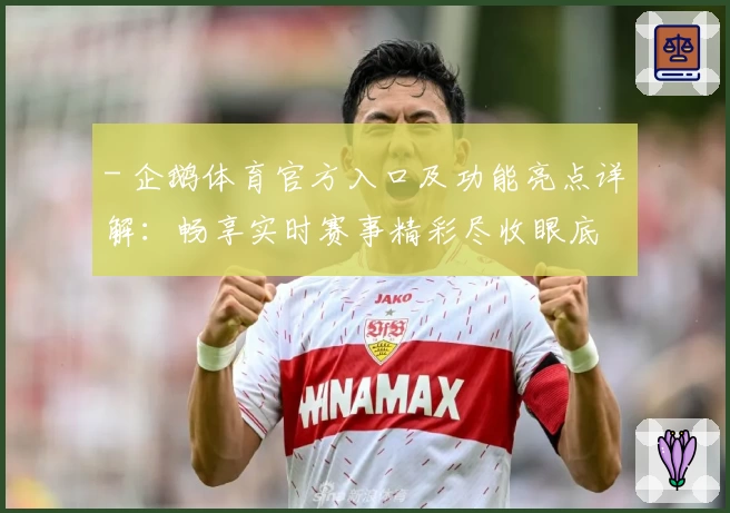 - 企鹅体育官方入口及功能亮点详解：畅享实时赛事精彩尽收眼底