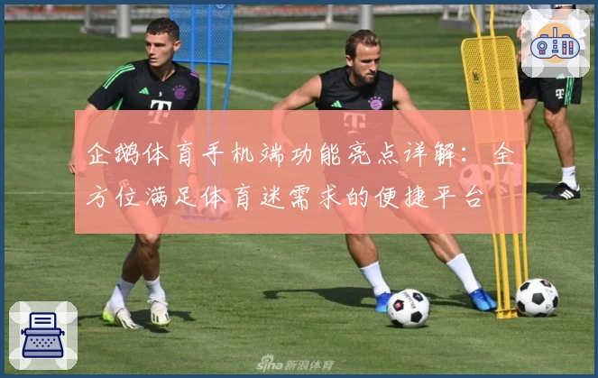 企鹅体育手机端功能亮点详解：全方位满足体育迷需求的便捷平台