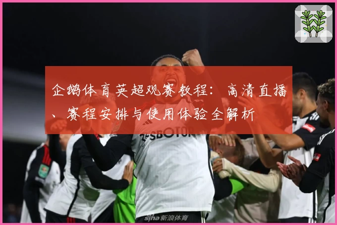 企鹅体育英超观赛教程：高清直播、赛程安排与使用体验全解析