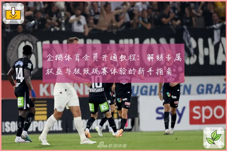 企鹅体育会员开通教程:解锁专属权益与极致观赛体验的新手指南